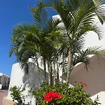Malibu Park Aparthotel