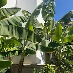 Aparthotel Malibu Park 3*